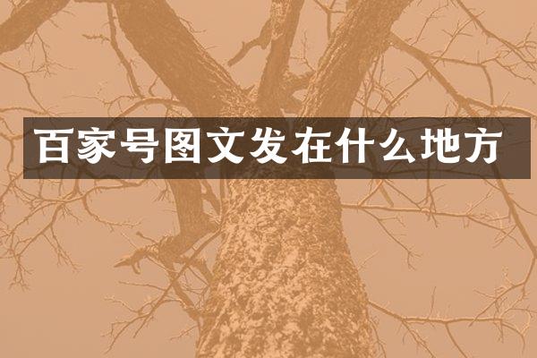 百家号图文发在什么地方