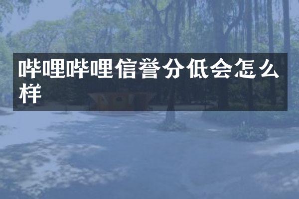 哔哩哔哩信誉分低会怎么样