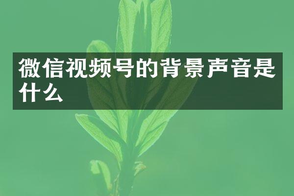 微信视频号的背景声音是什么