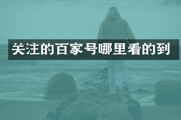 关注的百家号哪里看的到