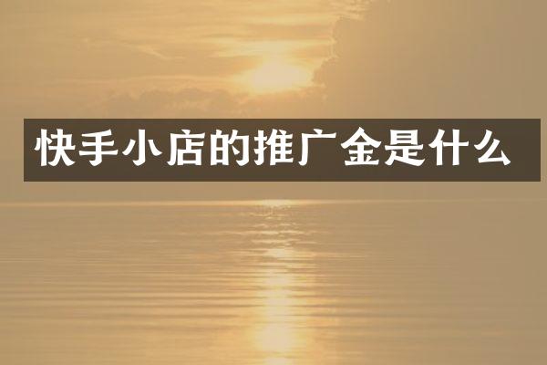 快手小店的推广金是什么