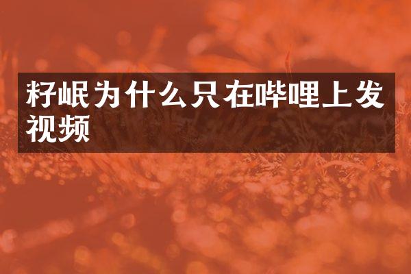 籽岷为什么只在哔哩上发视频