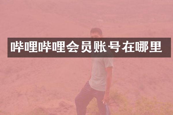 哔哩哔哩会员账号在哪里