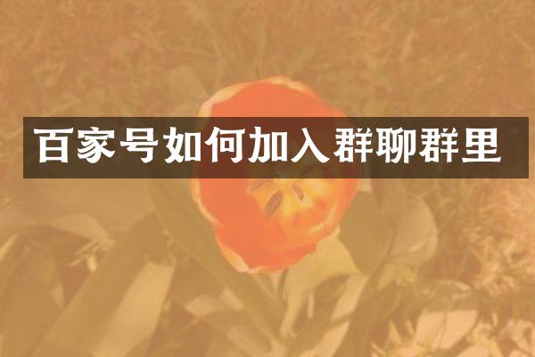 百家号如何加入群聊群里