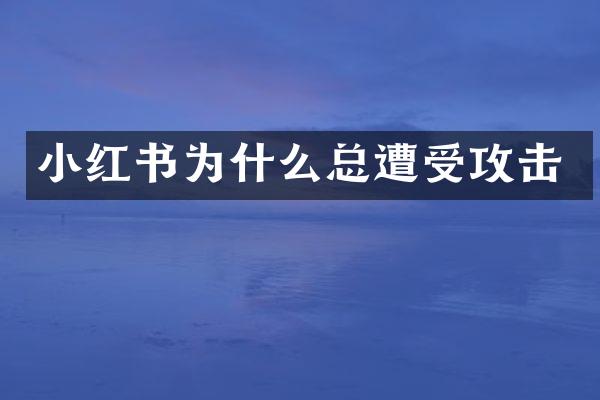 小红书为什么总遭受攻击