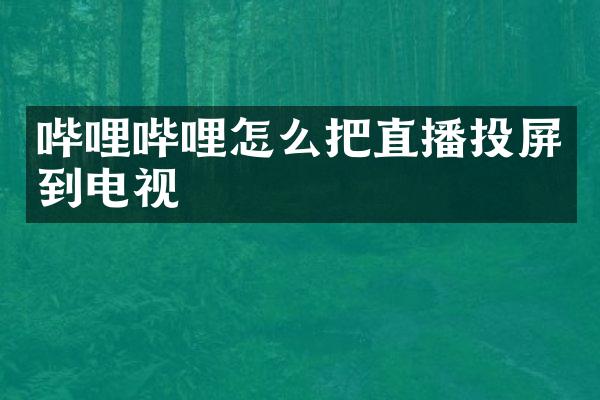 哔哩哔哩怎么把直播投屏到电视