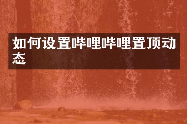 如何设置哔哩哔哩置顶动态