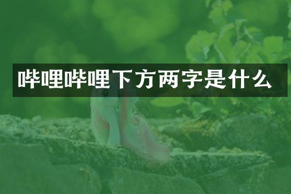 哔哩哔哩下方两字是什么