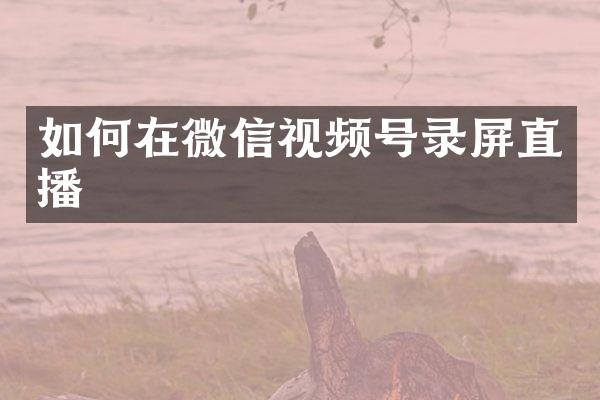 如何在微信视频号录屏直播