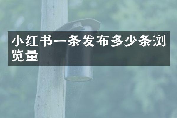 小红书一条发布多少条浏览量