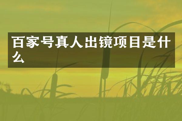 百家号真人出镜项目是什么