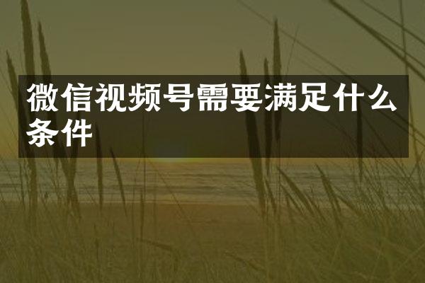 微信视频号需要满足什么条件