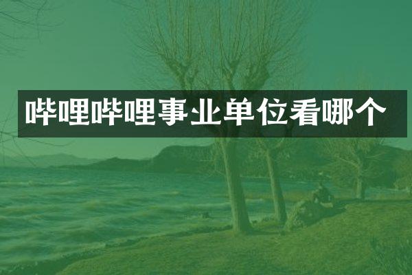 哔哩哔哩事业单位看哪个