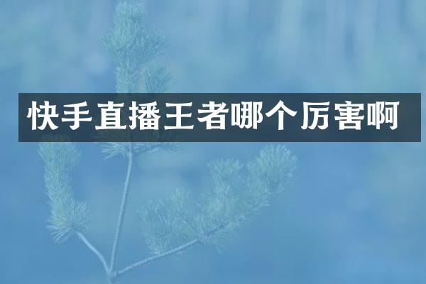快手直播王者哪个厉害啊