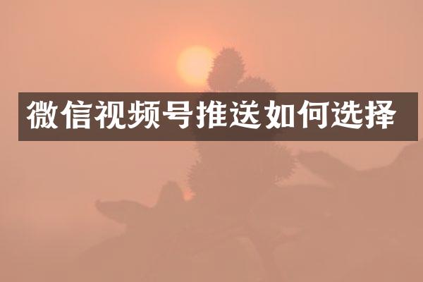 微信视频号推送如何选择