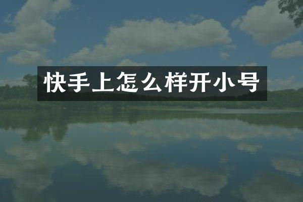 快手上怎么样开小号