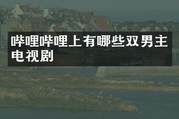 哔哩哔哩上有哪些双男主电视剧