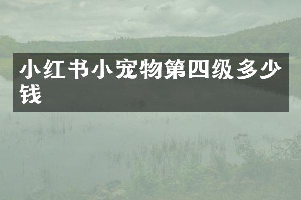 小红书小宠物第四级多少钱