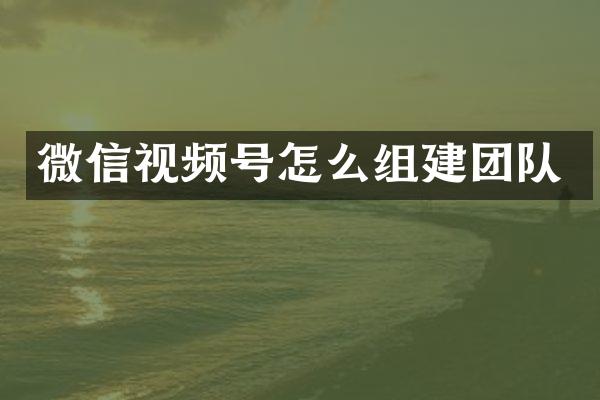 微信视频号怎么组建团队