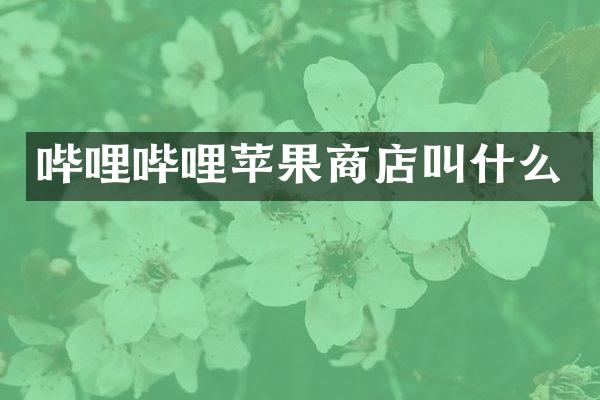 哔哩哔哩苹果商店叫什么