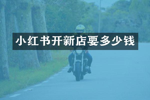 小红书开新店要多少钱