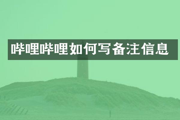 哔哩哔哩如何写备注信息