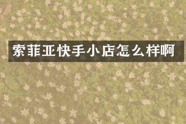 索菲亚快手小店怎么样啊