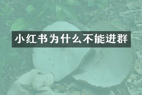 小红书为什么不能进群