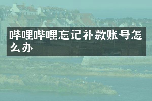 哔哩哔哩忘记补款账号怎么办