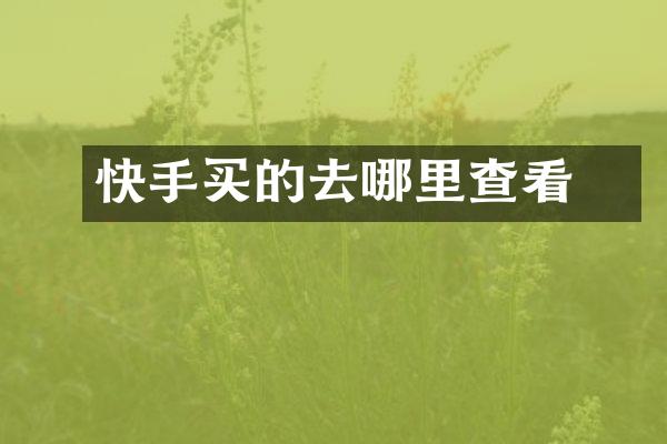 快手买的劵去哪里查看