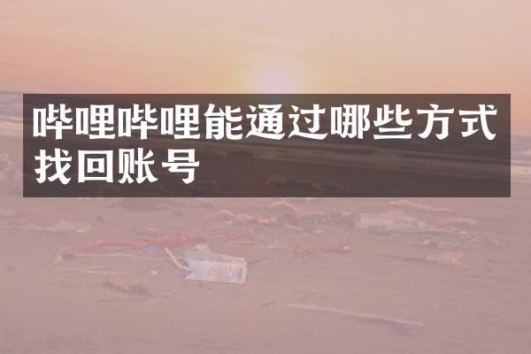哔哩哔哩能通过哪些方式找回账号