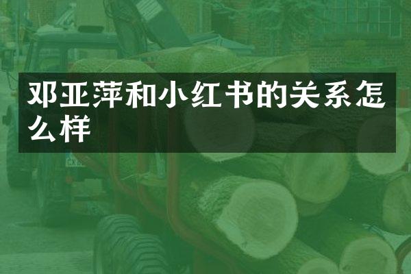 邓亚萍和小红书的关系怎么样