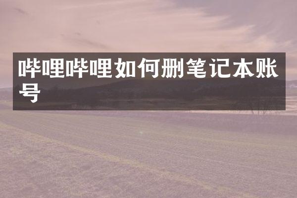 哔哩哔哩如何删笔记本账号