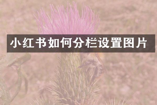 小红书如何分栏设置图片