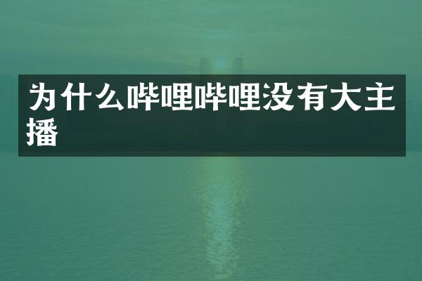 为什么哔哩哔哩没有大主播