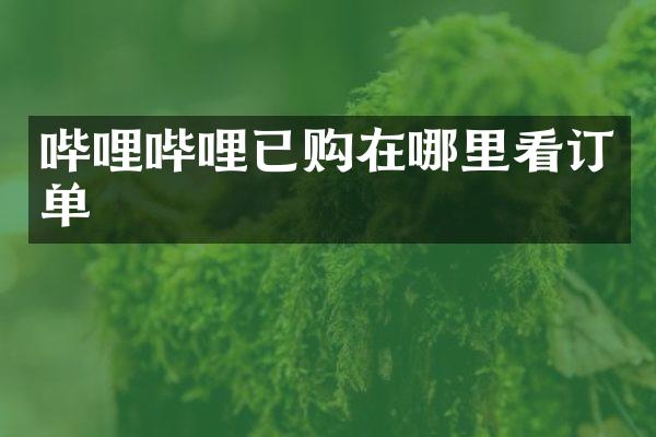 哔哩哔哩已购在哪里看订单
