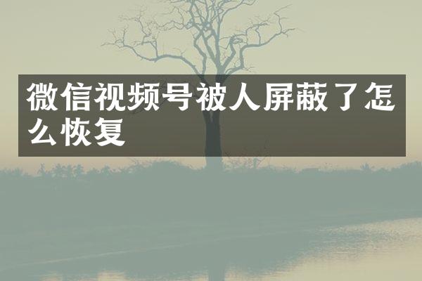 微信视频号被人屏蔽了怎么恢复