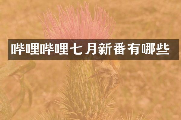 哔哩哔哩七月新番有哪些