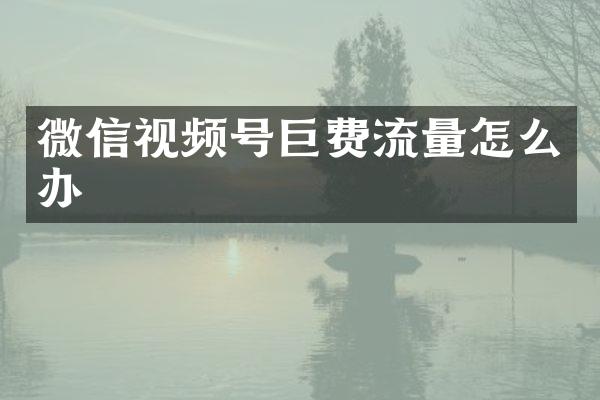 微信视频号巨费流量怎么办