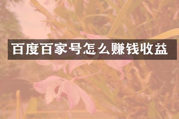百度百家号怎么赚钱收益