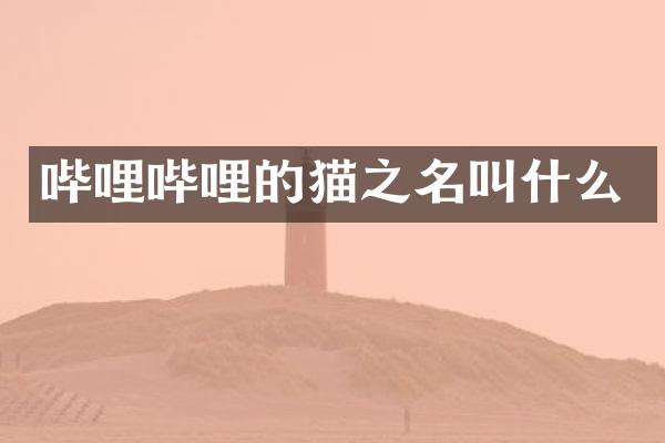 哔哩哔哩的猫之名叫什么
