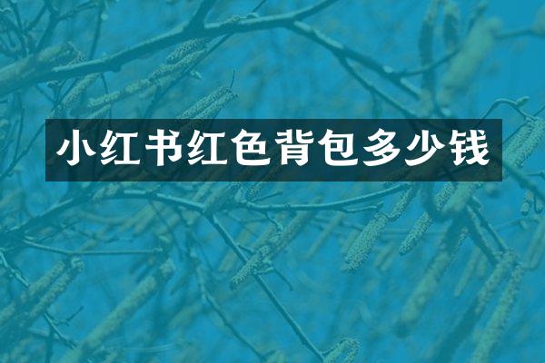 小红书红色背包多少钱