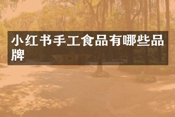 小红书手工食品有哪些品牌