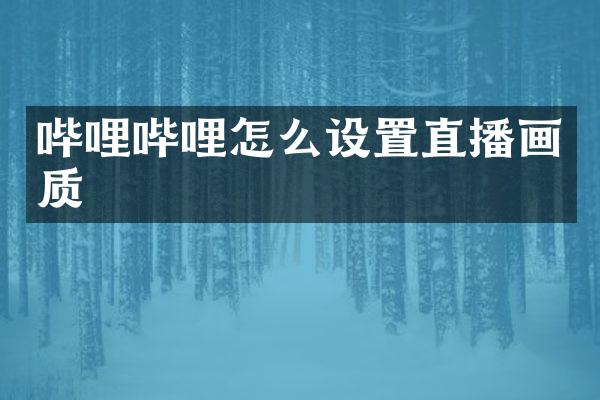 哔哩哔哩怎么设置直播画质