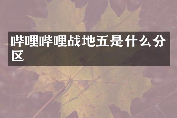 哔哩哔哩战地五是什么分区