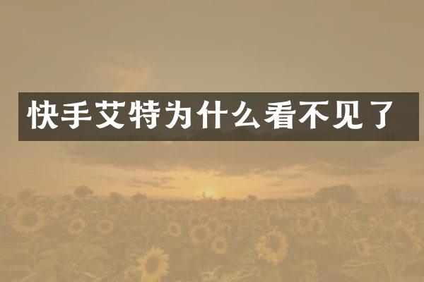 快手艾特为什么看不见了