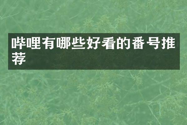 哔哩有哪些好看的番号推荐