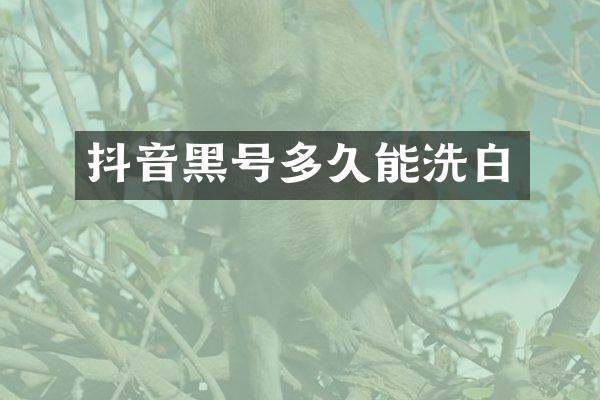 抖音黑号多久能洗白