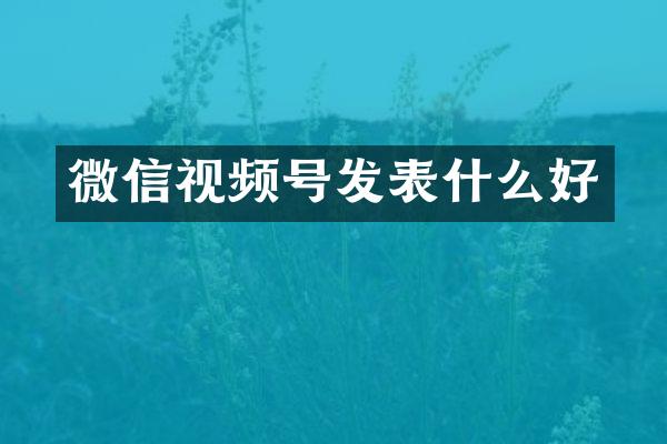 微信视频号发表什么好