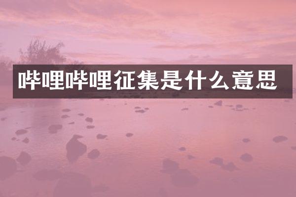 哔哩哔哩征集是什么意思